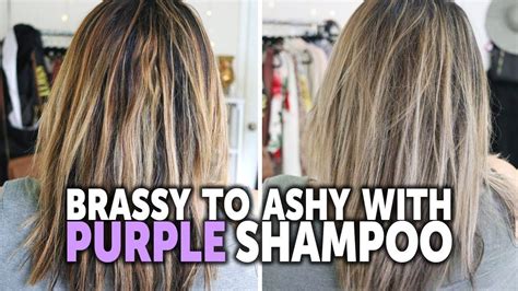 Purple Shampoo On Brown Hair Dry Elvin Wadsworth