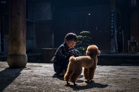 泰迪与小朋友 朱永利 富士（中国）极致影像