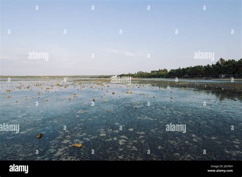 Patar Beach in Pangasinan, Philippines Stock Photo - Alamy