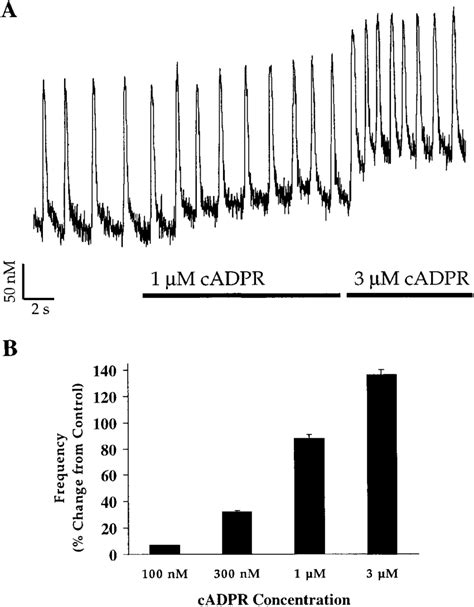 Ca I Response To Cadpr In Myocytes Displaying Spontaneous Ca