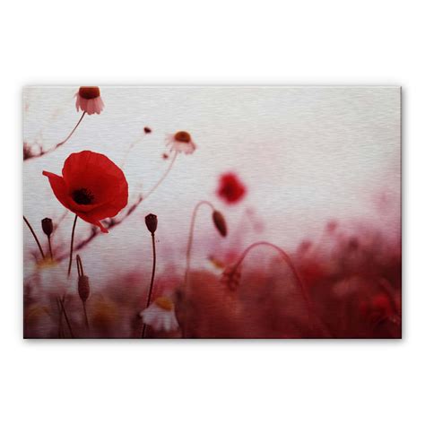 Alu Dibond Mit Silbereffekt Mohn Impressionen Von K L Wall Art Wall