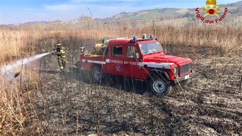 Incendi Nel Bolognese Sterpaglie A Fuoco A Casalecchio E Casalfiumanese