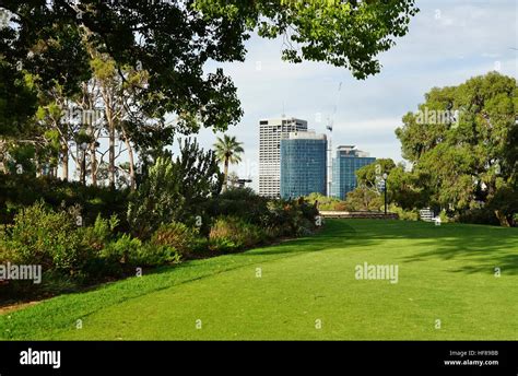 Kings Park A Large Park In The City Of Perth Is Home To The Western