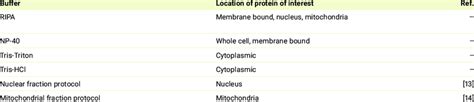 Recommended Protein Lysis Buffer Or Protocol Based On The Location Of Download Scientific