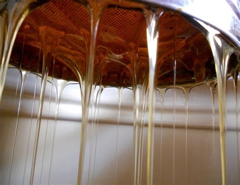 Premium Photo Drop Of Bee Honey Drip From Hexagonal Honeycombs