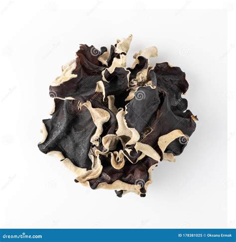 Dry Black Fungus Tree Ear Or Wood Ear Mushroom Isolated Stock Image