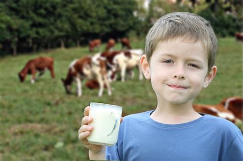 Leche Baja En Grasa O Entera Un Estudio Revela Cu L Es Mejor Para Los