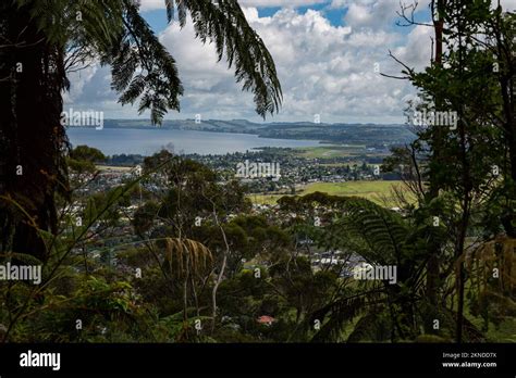 An Aerial View Of Rotorua Town In New Zealand With Lake And Hot Springs