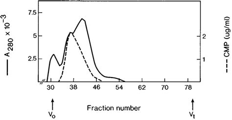 Sepharose Cl 6b Gel Filtration Of Aggrecan Cmp Complexes After Download Scientific Diagram