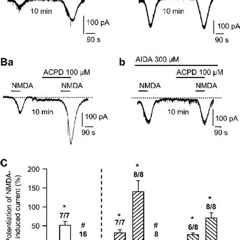 Effect Of Atp On The Nmda Induced Current In Layer V Pyramidal Neurons