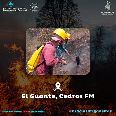 ICF On Twitter Denuncia Incendios Forestales Al 911 Tamayo