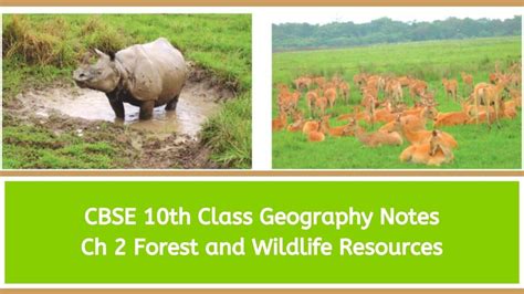 CBSE Class 10 Social Science Geography Chapter 2 Forest And Wildlife