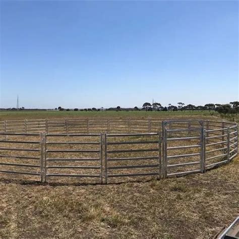 For Rounding Up Cattle In The Fields Penning Calves Cattle Gateways