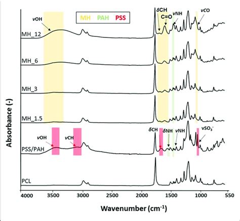 Fourier Transform Infrared Spectroscopy Attenuated Total Reflectance