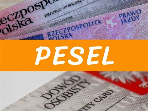 Czym Jest PESEL Portal I Pl