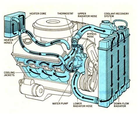 Car Thermostat Installation Diagram