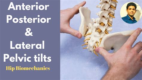 Anterior Pelvic Tilt Posterior Pelvic Tilt And Lateral Pelvic Tilt