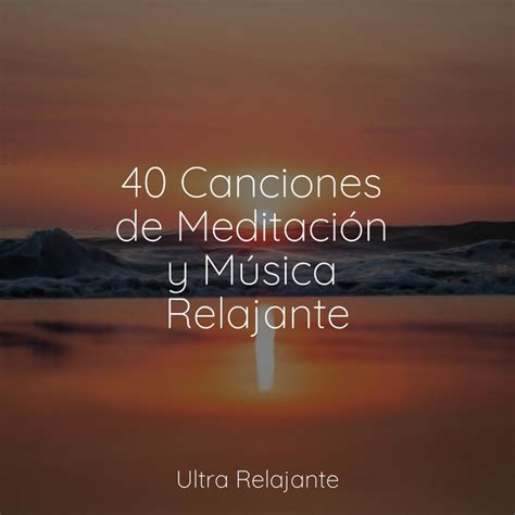 40 Canciones De Meditación Y Música Relajante Album By Zona Música