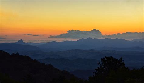 Recording Of The Week Dawn In A Gondwana Rainforest Sound And Vision