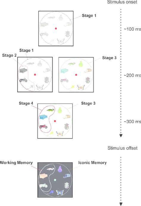 A A Graphical Depiction Of The Temporal Evolution Of Processing