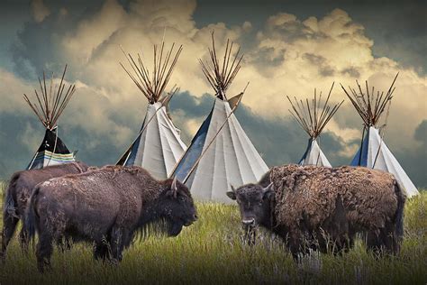 Buffalo Herd on the Reservation Photograph by Randall Nyhof - Fine Art ...