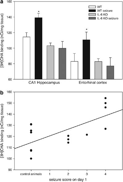 Autoradiographic Analysis Of Adenosine A1 Receptor Expression In Download Scientific Diagram