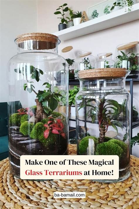 Terrariums Are Miniature Gardens Enclosed In Glass Containers Apart From Being A Great Addition