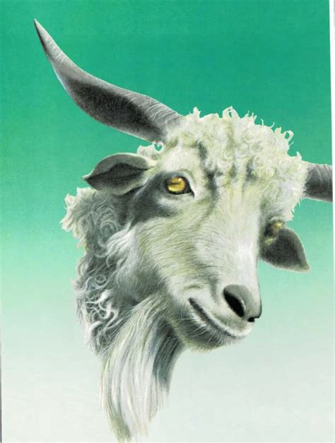 Domestic Animals – The World of Childcraft