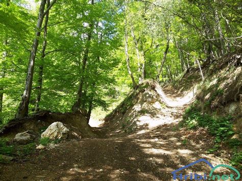 Trate Blejska Dobrava Boršt Slika 293484
