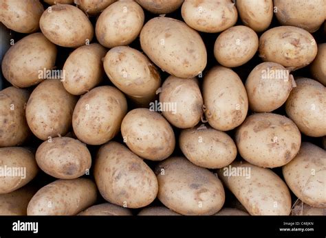 Pile Potatoes Hi Res Stock Photography And Images Alamy