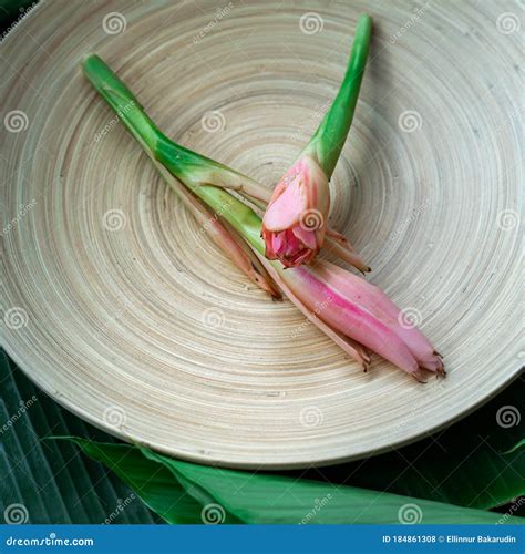 Bunga Kantan Or Ginger Flowers Stock Photography