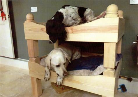 Dog Bunk Beds P Sankala And Sons
