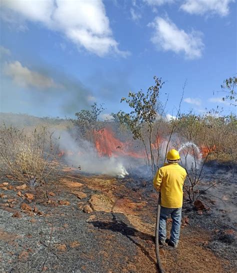 Incendio Forestal Arrasa Con Hect Reas De Monte En Tekax Poresto