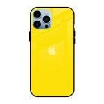 Buy Qrioh Sunny Glass Case For Apple IPhone 13 Pro Max Online At Best