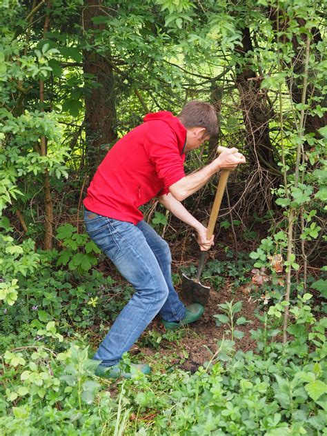 Free Images : work, man, tree, forest, grass, person, plant, meadow ...