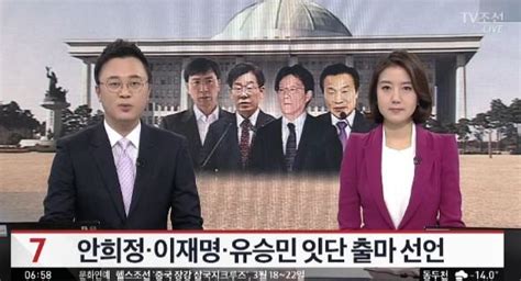 설날 연휴 앞두고 여야 주자 대선 행보 본격화 안희정·이재명·유승민 잇단 출마 선언 공식화 전자신문