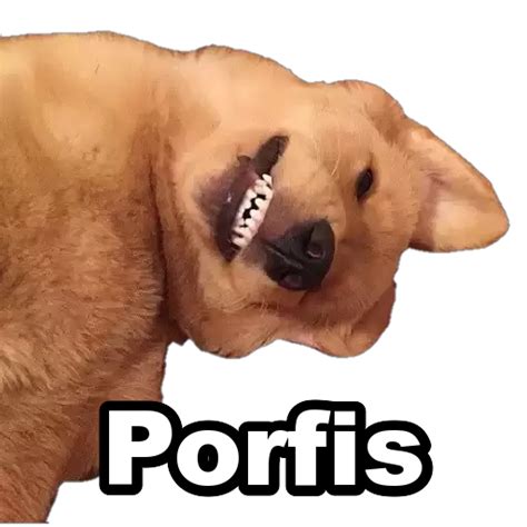 Porfis Sticker De WhatsApp DescargarStickers