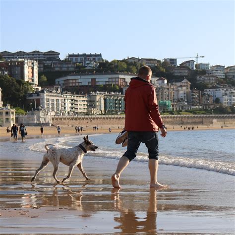 Playas Del Pa S Vasco Para Ir Con Perro En Horario Restringido