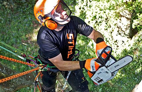 Stihl Ms201tc M 24hp 14 Arborist Chainsaw Medland Sanders And Twose