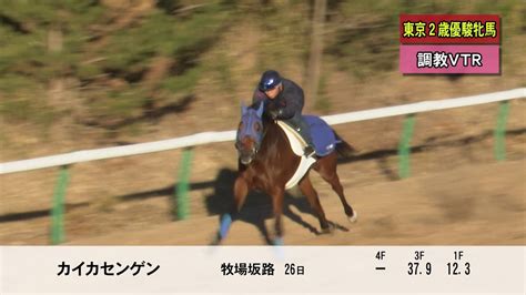 【第44回 東京2歳優駿牝馬si】の調教追い切り動画 Youtube