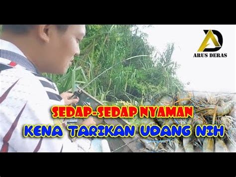 Tarikan Udang Galah Babon Bikin Pemancing Ketagihan Mancing Udang