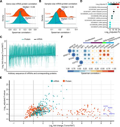 Correlations Between Transcriptomic And Proteomic Data Of Escc Download Scientific Diagram