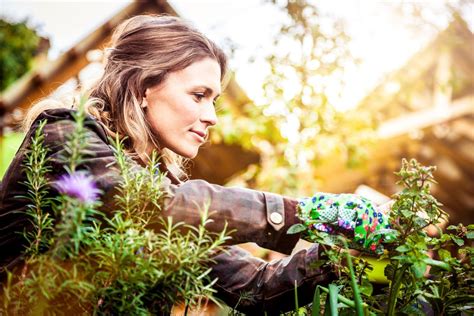 Gardening Mindfulness Mindful Gardening Benefits Of Gardening