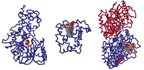 Pdb 101 Learn Guide To Understanding Pdb Data Small Molecule Ligands