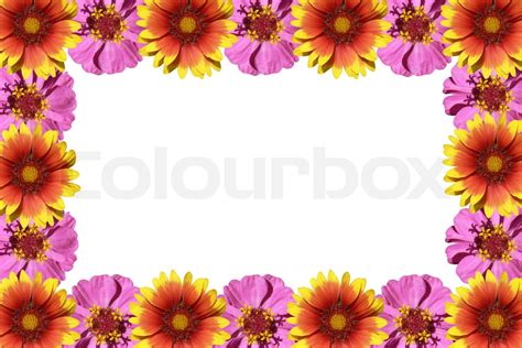 Blomster Ramme Isoleret P En Hvid Baggrund Stock Foto Colourbox