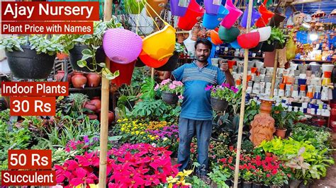 Plant Nursery Visit Plants Name And Price Plant Nursery In Mumbai