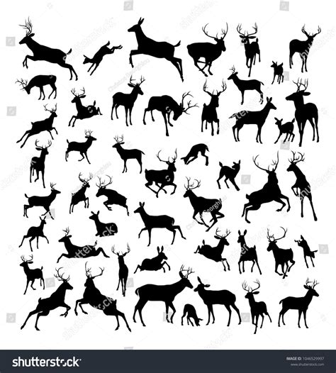 High Quality Deer Silhouettes Fawn Doe Stock Vector Royalty Free 1046529997