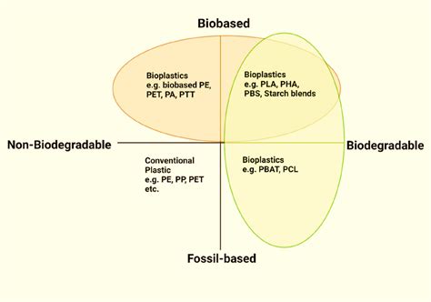 Different Types Of Bioplastics And Their Biodegradability