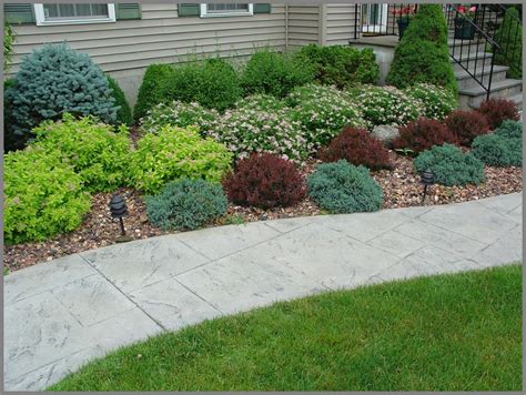 How To Use Barberry In The Landscape A Landscape