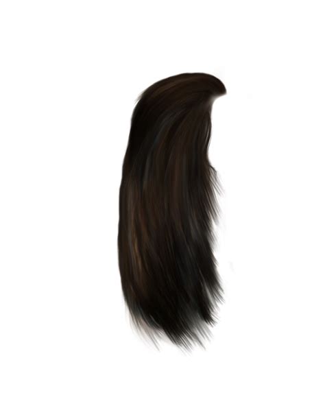 Hq Hair Png Transparent Hairpng Images Pluspng